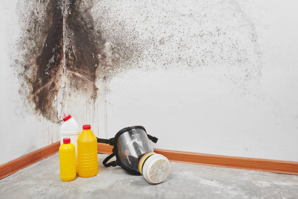 Best Water Damage Restoration  in Cushing, OK