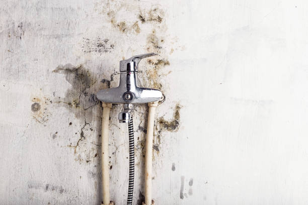 Best Emergency Mold Removal  in Cushing, OK
