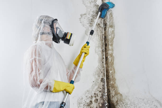 Cushing, OK Mold Removal Company