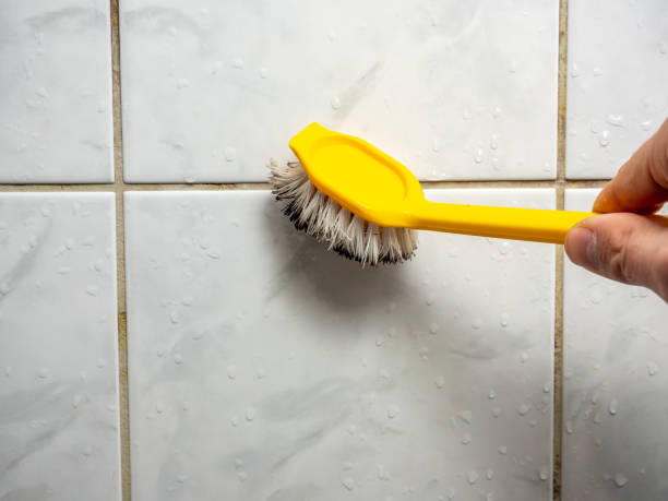 Best Professional Mold Removal  in Cushing, OK