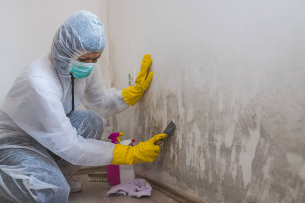 Best Mold Testing  in Cushing, OK