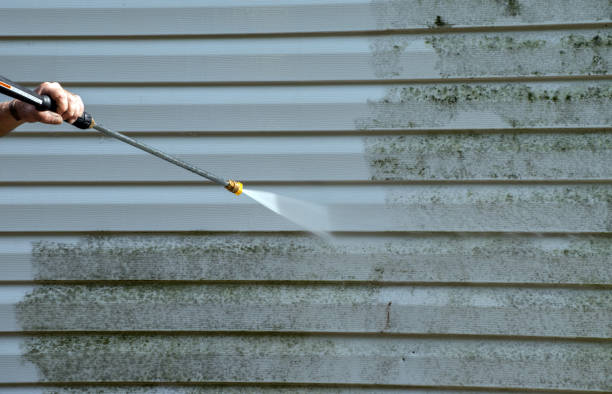 Best Mold Cleaning Services  in Cushing, OK