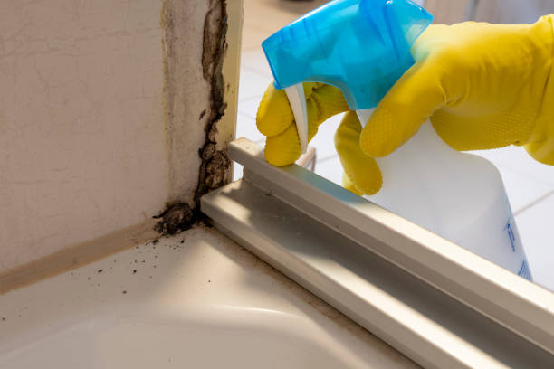 Best Residential Mold Removal  in Cushing, OK