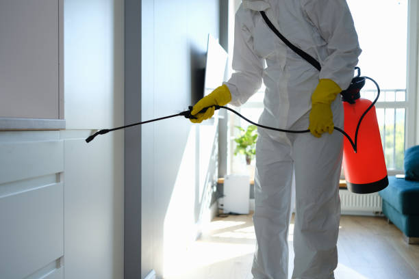 Best Mold Remediation  in Cushing, OK