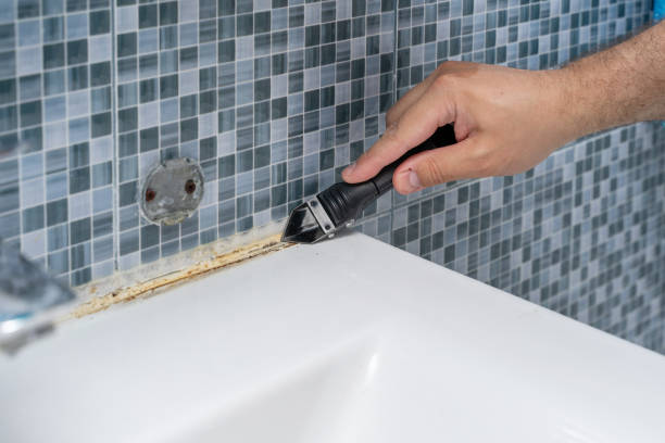 Best Mold Remediation  in Cushing, OK