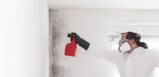 Best Mold Testing  in Cushing, OK