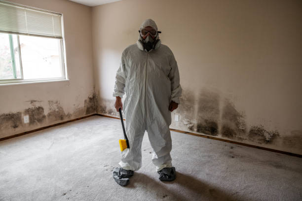 Best Mold Removal Specialists  in Cushing, OK
