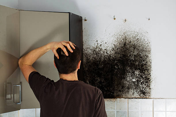 Best Mold Testing  in Cushing, OK