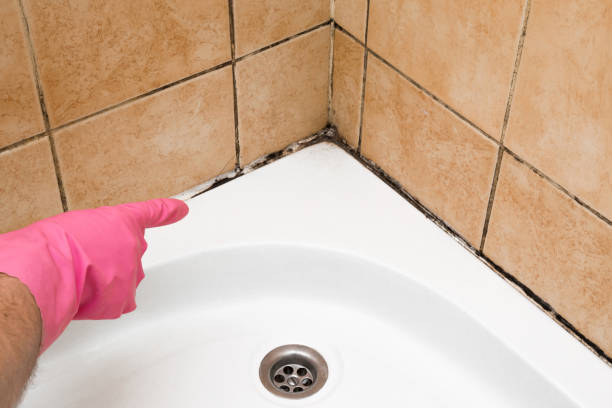 Certified Mold Removal in Cushing, OK